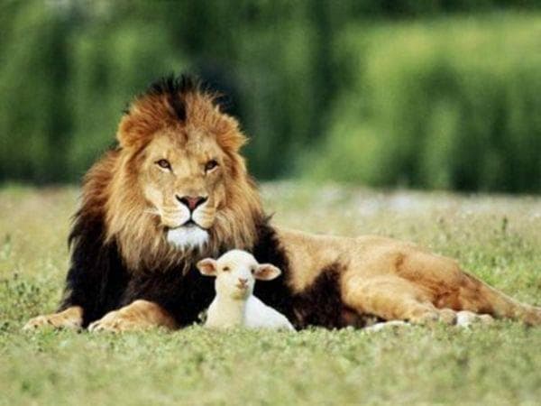 Big Brother 13 – In Like A Lion, Out Like A Lamb